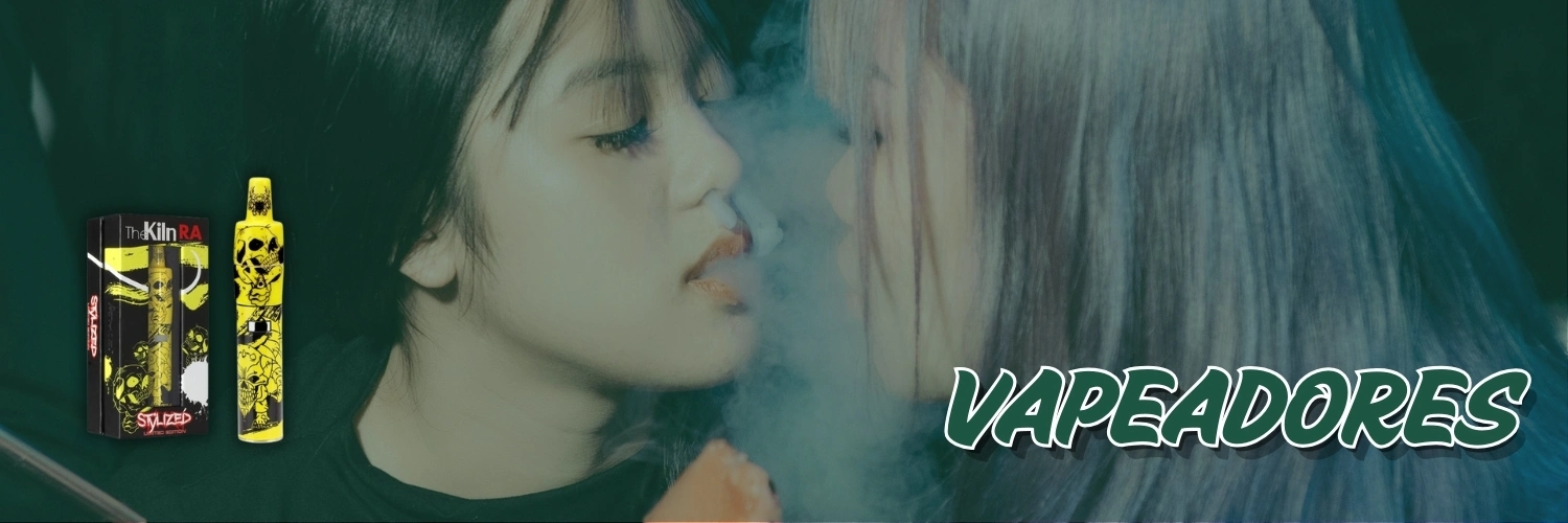 banner categoría vaporizadores