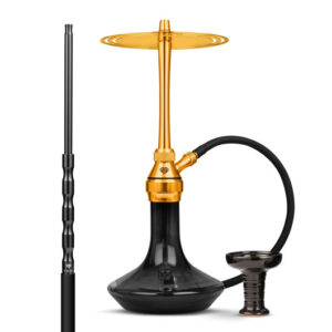 chicha tsar h one evolution (1)