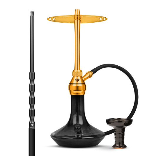 chicha tsar h one evolution (1)