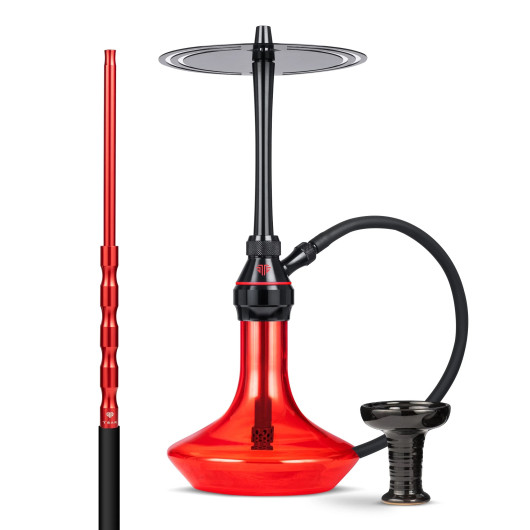 chicha tsar h one evolution